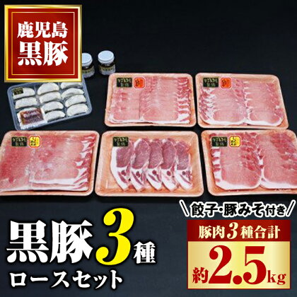 極上かごしま黒豚セット！(合計約2.5kg・豚肉3種・餃子・黒豚みそ) ロース 黒豚みそ 黒豚餃子 セット 鹿児島 国産 九州産 黒豚 味噌豚 しゃぶしゃぶ 生姜焼き トンカツ みそぶた 餃子 ギョーザ ぎょうざ ギフト 贈答【和田養豚】