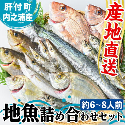 地魚詰め合わせセット(約6～8人分) 朝獲れ 鮮魚 地元の魚屋が選別 旬 魚 地魚 さかな 刺身 煮つけ 焼き魚 詰合わせ セット 海産物 国産【マルケイ水産】