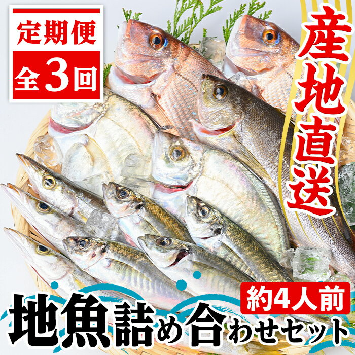 [3回定期便]魚屋さんの選んだ新鮮お魚詰め合わせ(約4人分) 鹿児島 国産 九州産 産直 産地直送 鮮魚 新鮮 魚 海産物 お刺身 煮つけ 焼き魚[マルケイ水産]