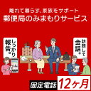 《肝付町に居住の方限定》郵便局のみまもりサービス「みまもりでんわサービス」(12ヶ月＜固定電話＞) 電話 お知らせ 安心 みまもり 見守り サービス 家族 サポート