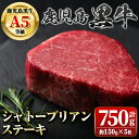 鹿児島黒牛 希少部位 シャトーブリアン(計約750g・約150g×5枚) 牛肉専門店自慢のお肉 鹿児島 国産 九州産 牛肉 黒牛 鹿児島黒牛 A5 等級 霜ぶり 霜降り 厚切り ステーキ ギフト 贈答