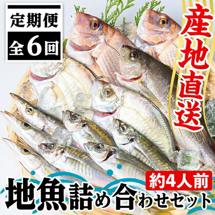 【6回定期便】魚屋さんの選んだ新鮮お魚詰め合わせ(約4人分) 鹿児島 国産 九州産 産直 産地直送 鮮魚 新鮮 魚 海産物 お刺身 煮つけ 焼き魚【マルケイ水産】