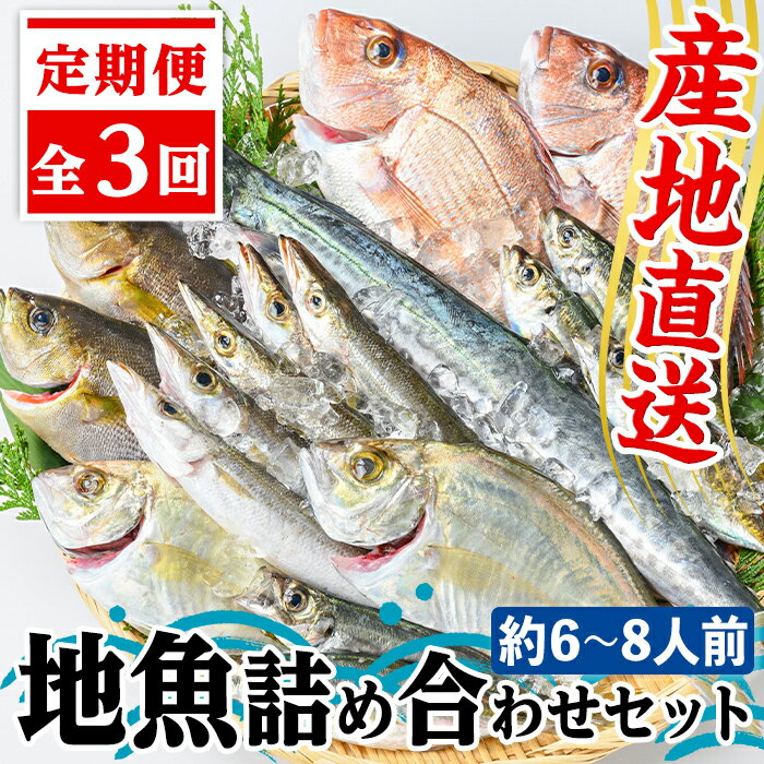 1位! 口コミ数「0件」評価「0」【3回定期便】魚屋さんの選んだ新鮮お魚詰め合わせ(約6~8人分) 鹿児島 国産 九州産 産直 産地直送 鮮魚 新鮮 魚 海産物 お刺身 煮つ･･･ 