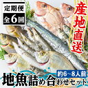 魚屋さんの選んだ新鮮お魚詰め合わせ(約6~8人分) 鹿児島 国産 九州産 産直 産地直送 鮮魚 新鮮 魚 海産物 お刺身 煮つけ 焼き魚