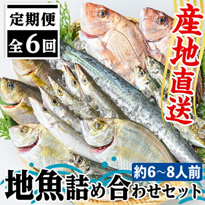 【6回定期便】魚屋さんの選んだ新鮮お魚詰め合わせ(約6~8人分) 鹿児島 国産 九州産 産直 産地直送 鮮魚 新鮮 魚 海産物 お刺身 煮つけ 焼き魚【マルケイ水産】