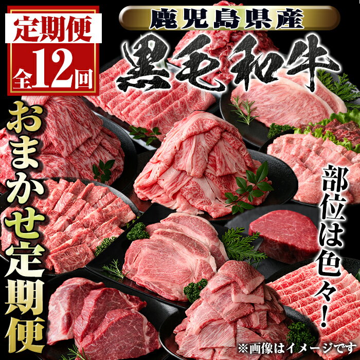 ＜定期便・全12回＞鹿児島県産黒毛和牛おまかせ定期便 鹿児島 牛肉 黒毛和牛 シャトーブリアン サーロインステーキ リブロース カルビ 焼肉 すき焼き 定期便【新村畜産】