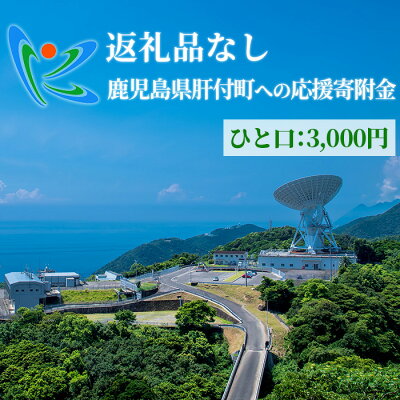 楽天ふるさと納税　【ふるさと納税】≪返礼品なし≫鹿児島県肝付町への応援寄附金 (3,000円分)【肝付町】