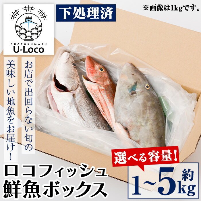 [容量が選べる!]漁師厳選!ロコフィッシュ(地魚) 下処理済 鮮魚 ボックス(約1〜5kg)地魚 魚 1kg 2〜3kg 4〜5kg お魚 冷蔵 新鮮 生もの 加工品 未利用魚 低利用魚 焼き魚 焼魚 刺し身 刺身 煮魚 届くまでのお楽しみ[昌徳丸]