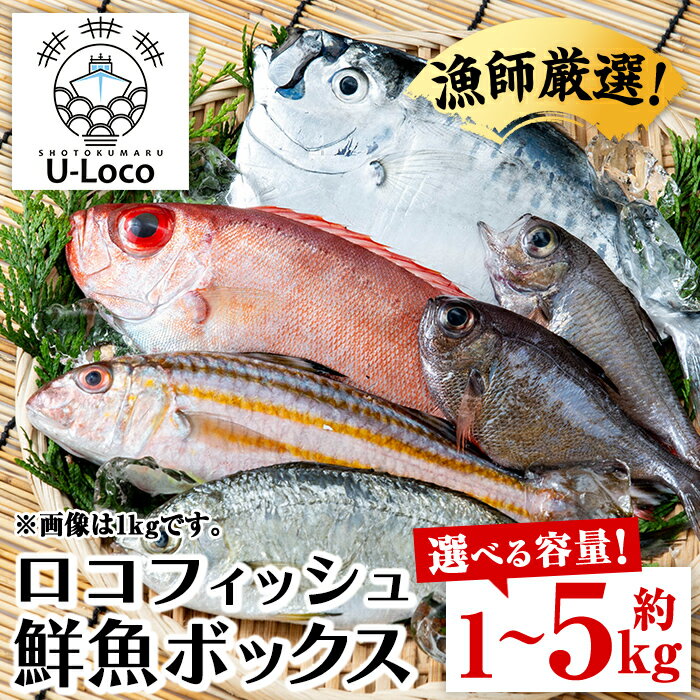 楽天市場】鮮魚ボックス(魚介類・水産加工品|食品)の通販 楽天市場】鮮魚ボックス(魚介類・水産加工品|食品)の通販