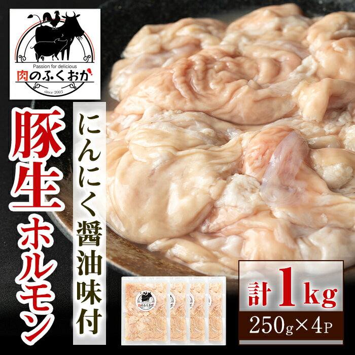 【ふるさと納税】豚生ホルモンにんにく醤油味付(計1kg・25