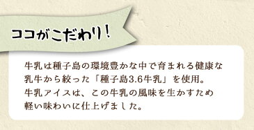 【ふるさと納税】アイスクリーム詰め合わせA【ホテルレストラン公園通り】