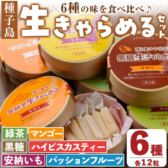 種子島の素材使用 生きゃらめる詰め合わせ(6種・各12粒入)国産 種子島産 きゃらめる 安納芋 安納いも 芋 イモ いも おやつ 生キャラメル 安納芋 緑茶 黒糖 ハイビスカスティー パッションフルーツ マンゴー さとうきび 種子島【ホテルレストラン公園通り】