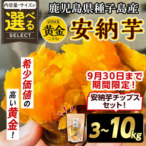 【ふるさと納税】<期間・数量限定セット!先行予約受付中!2025年9月下旬頃から12月中の発送予定>内容量が選べる!種子島産 安納芋<黄金>(3~10kg)&安納芋チップス1袋セット 国産 安納芋 黄金 こがね コガネ 種子島 芋 イモ さつま芋 安納いも 野菜【うずえ屋】