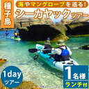 22位! 口コミ数「0件」評価「0」シーカヤック1dayツアー(1名様分、7時間、ランチ付き)種子島 島 カヤック ツアー 観光 海 レジャー【Lulusun】