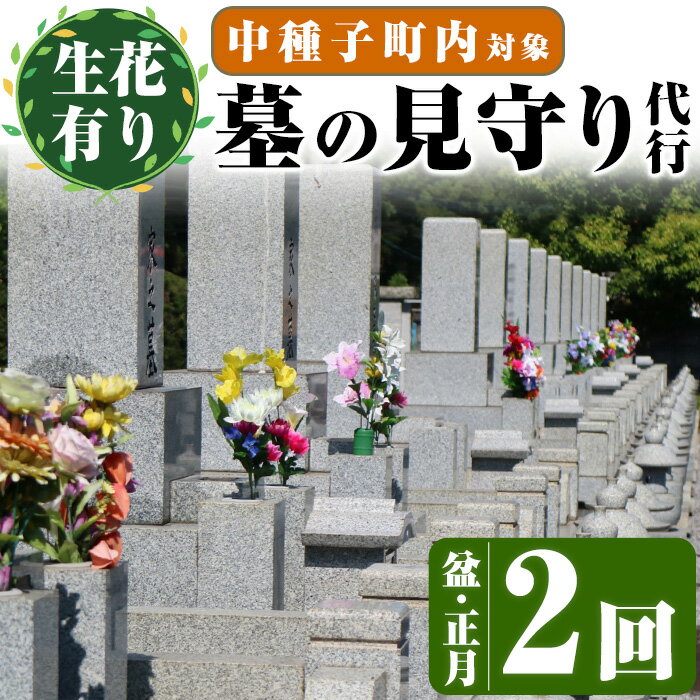 [生花有り]お墓の見守りサービス(2回、盆・正月)サービス 清掃 除草 管理 墓地[中種子町シルバー人材センター]