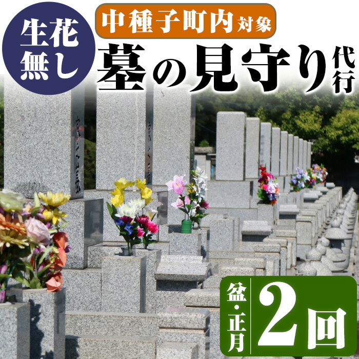 45位! 口コミ数「0件」評価「0」＜生花無し＞お墓の見守りサービス(2回、盆・正月)サービス 清掃 除草 管理 墓地【中種子町シルバー人材センター】