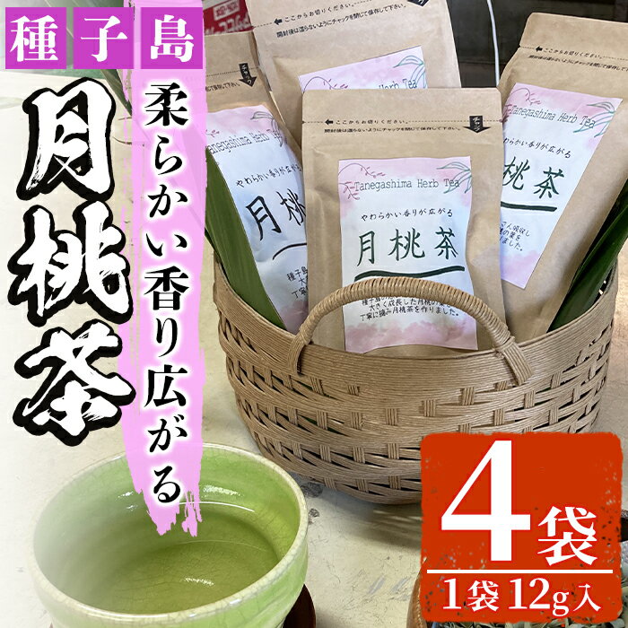 月桃茶(12g入×4袋)種子島 お茶 ハーブティー TEA 飲料 茶[山下鮮魚店]