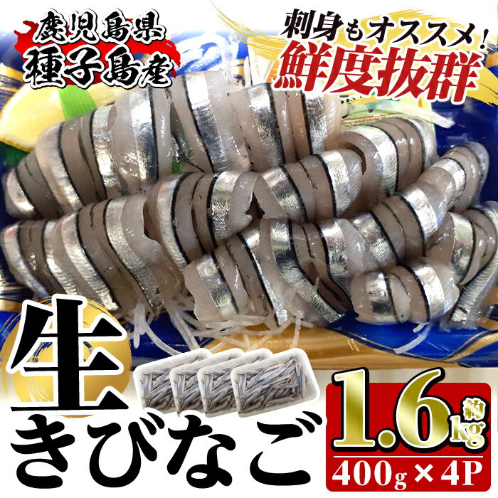 【ふるさと納税】鹿児島県種子島産 生キビナゴ(約1.6kg・400g×4P)国産 鹿児島県産 新鮮 きびなご 魚 刺身 鮮魚 魚介 海産物 セット 詰め合わせ 冷凍 煮魚 揚げ物 フライ おつまみ【永浜ストアー】