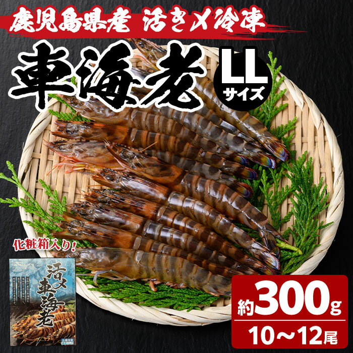 車エビ 【ふるさと納税】鹿児島県産！活き〆冷凍車海老(LLサイズ・10～12尾)化粧箱入り！くるまえび 海老 海鮮 海産物 国産 九州産 急速冷凍 ギフト 車海老 真空パック 養殖【車海老日本株式会社】