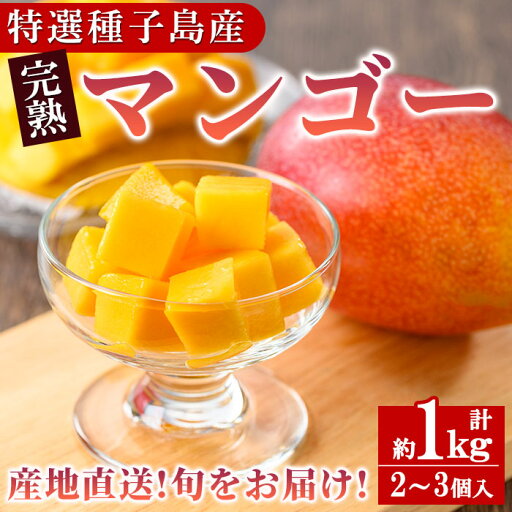 【ふるさと納税】【期間限定】<先行予約受付中!2025年7月中旬~8月中旬の間に順次発送予定>鹿児島県種子島産完熟マンゴー(1kg・2~3個入) 果物 くだもの 果実 フルーツ 旬 箱入り 冷蔵【種子屋久農業協同組合】 【ふるさと納税】【期間限定】<先行予約受付中!2025年7月中旬~8月中旬の間に順次発送予定>鹿児島県種子島産完熟マンゴー(1kg・2~3個入) 果物 くだもの 果実 フルーツ 旬 箱入り 冷蔵【種子屋久農業協同組合】