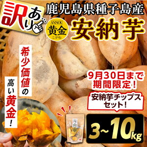 【ふるさと納税】<期間・数量限定セット!先行予約受付中!2025年9月下旬頃から12月中の発送予定>《訳あり》内容量が選べる!種子島産 安納芋<黄金>(3~10kg)&安納芋チップス1袋セット 国産 安納芋 黄金 こがね コガネ 種子島 さつま芋 安納いも 野菜 【うずえ屋】