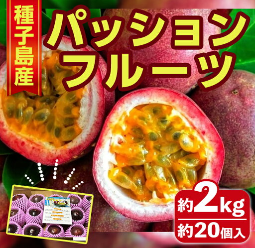 【ふるさと納税】<先行予約受付中!2025年6月頃より順次発送予定>南国・種子島産!パッションフルーツ(2kg前後・約20個入) 国産 鹿児島 果物 くだもの 果実 フルーツ 旬 トロピカルフルーツ 南国フルーツ 果実 果肉 ビタミン 常温 【なかたね農産】 【ふるさと納税】<先行予約受付中!2025年6月頃より順次発送予定>南国・種子島産!パッションフルーツ(2kg前後・約20個入) 国産 鹿児島 果物 くだもの 果実 フルーツ 旬 トロピカルフルーツ 南国フルーツ 果実 果肉 ビタミン 常温 【なかたね農産】