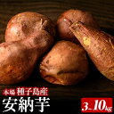 11位! 口コミ数「5件」評価「4.6」<先行予約受付中!2025年10月中旬頃より順次発送予定>内容量が選べる!種子島産 安納芋(3~10kg) 国産 安納芋 本場 種子島 芋 イモ いも さつまいも さつま芋 安納いも 野菜【種子島安納・・・