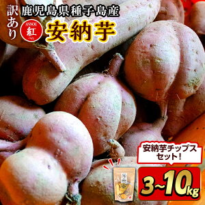 【ふるさと納税】<期間・数量限定セット!先行予約受付中!2025年10月中旬頃から12月中の発送予定>《訳あり》内容量が選べる!種子島産 安納芋<紅>(3~10kg)&安納芋チップス1袋セット 国産 安納芋 紅 種子島 芋 イモ さつまいも さつま芋 安納いも 野菜【うずえ屋】