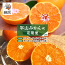 【ふるさと納税】【定期便】【先行予約】 種子島 平山みかん ポンカン タンカン 定期便 全2回 人気 種子島産 返礼品 南種子町 鹿児島 かごしま 【のっちーよ...