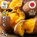 【ふるさと納税】【先行予約】 種子島 安納いも 5kg 人気 種子島産 返礼品 南種子町 鹿児島 かごしま 【のっちーよ種子島】