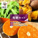 【ふるさと納税】【先行予約】【定期便】 種子島 旬鮮セット全3回 安納いも スナップエンドウ タンカン 人気 種子島産 返礼品 南種子町 鹿児島 かごしま 【のっちーよ種子島】