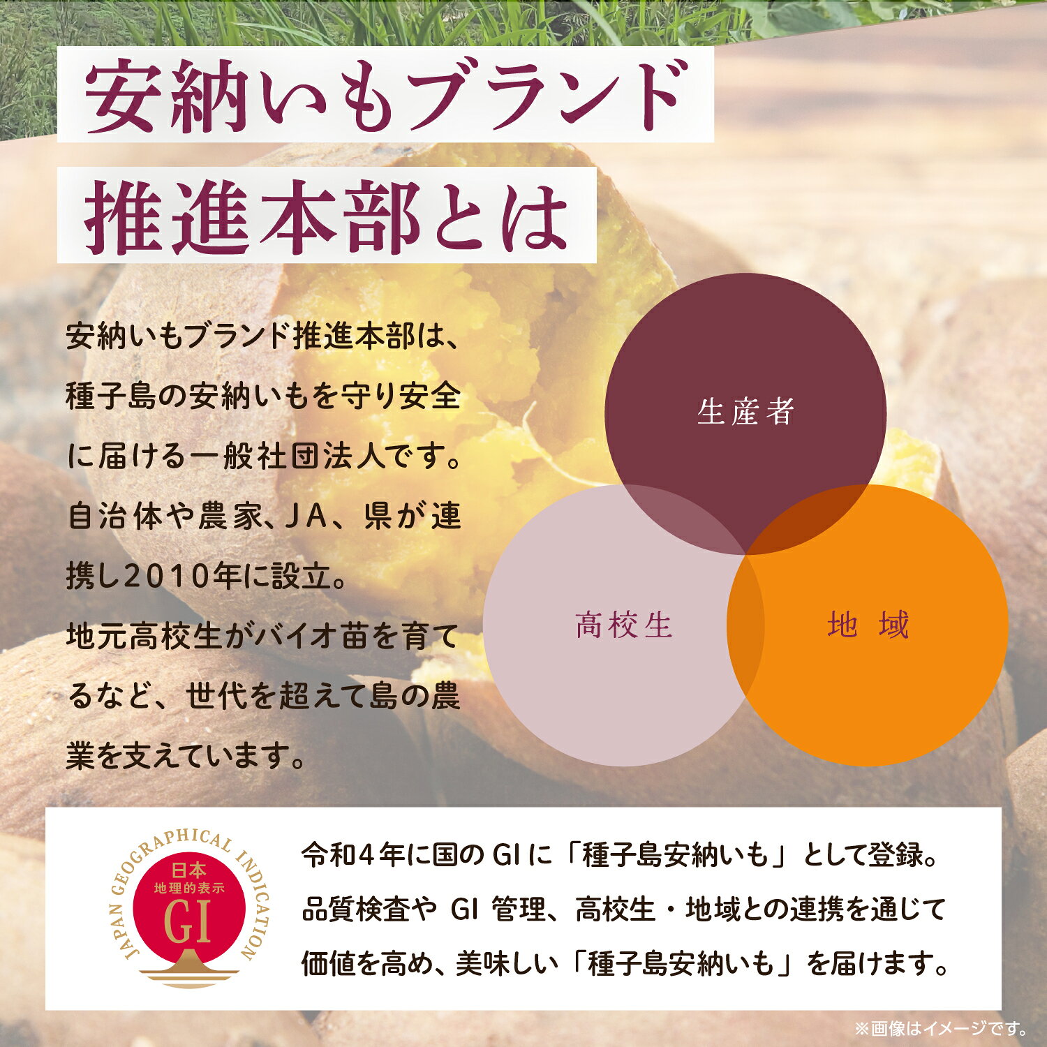 【ふるさと納税】 安納芋 冷凍 焼き芋 安納こがね 約 1kg 冷凍 小分け 3〜5袋 幻 安納いも スイーツ お菓子 焼きいも 芋 1キロ デザート おやつ 種子島産 お取り寄せ 人気 おすすめ ギフト 返礼品 南種子町 鹿児島 【観光物産館トンミー市場】 f465020-minamitane-10000547 鹿児島県南種子町 サンプル画像3