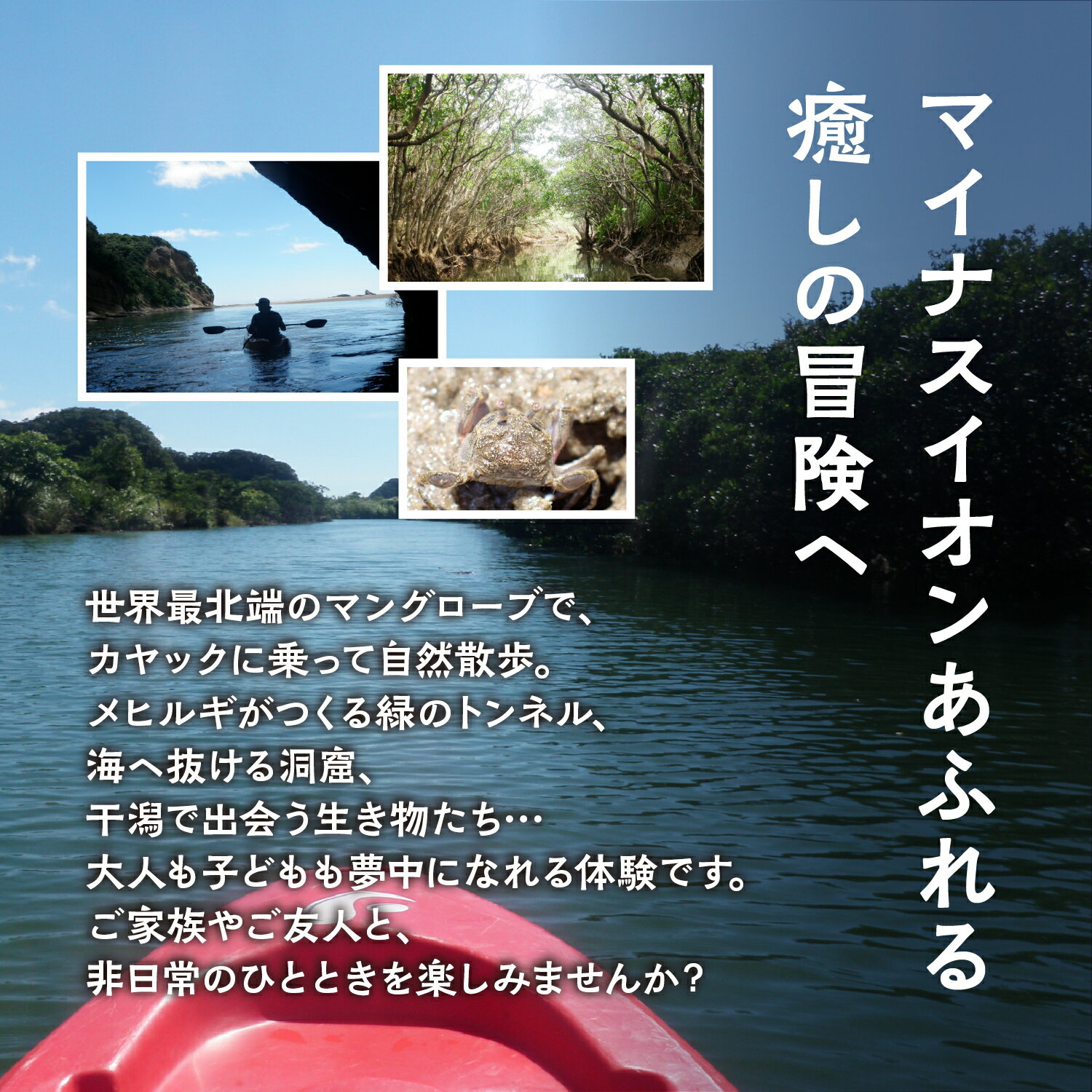 鹿児島県南種子町の画像2