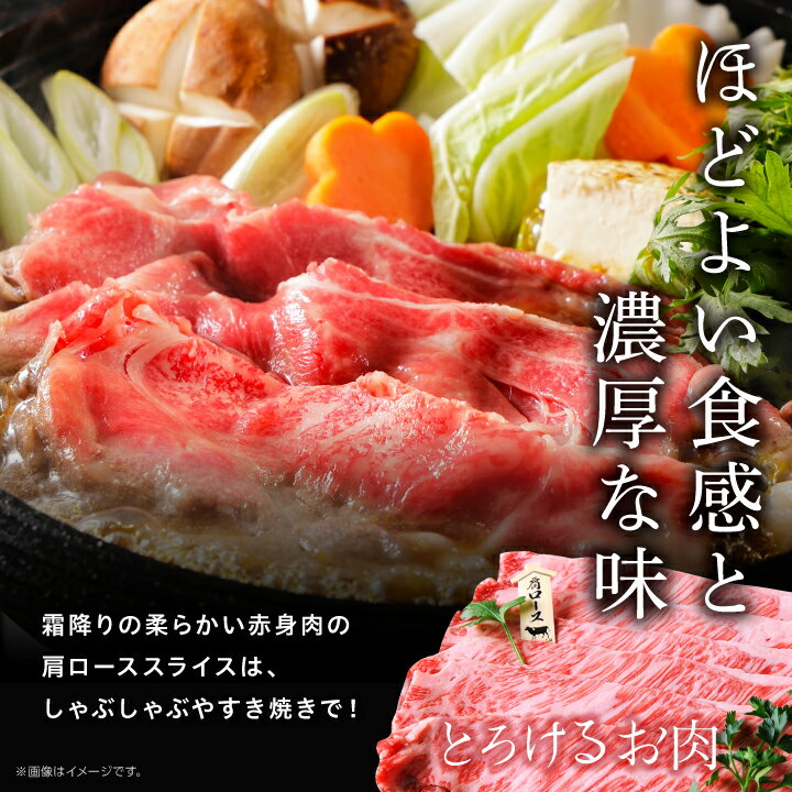 鹿児島県南種子町の画像2