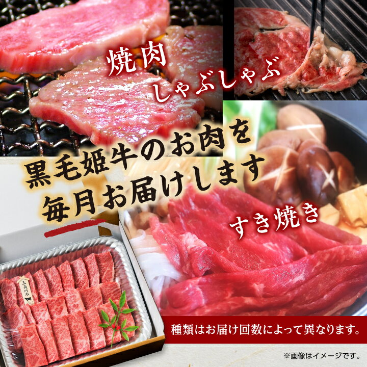 鹿児島県南種子町の画像2