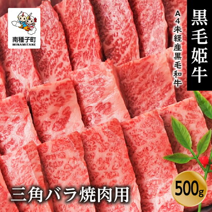 黒毛姫牛 三角バラ 焼肉用 500g A4 未経産 黒毛和牛 希少 肉 にく 牛 牛肉 バラ肉 焼肉 焼き肉 国産 和牛 キャンプ BBQ グルメ 食品 お取り寄せ 人気 おすすめ ギフト お中元 お歳暮 返礼品 南種子町 鹿児島 かごしま 送料無料 【Kitchen 姫ファーム】