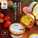 【ふるさと納税】 恵みジェラート 6個セット ジェラート アイス スイーツ おやつ お菓子 母の日 ホワイトデー 食品 グルメ お取り寄せ おすそわけ 人気 お...