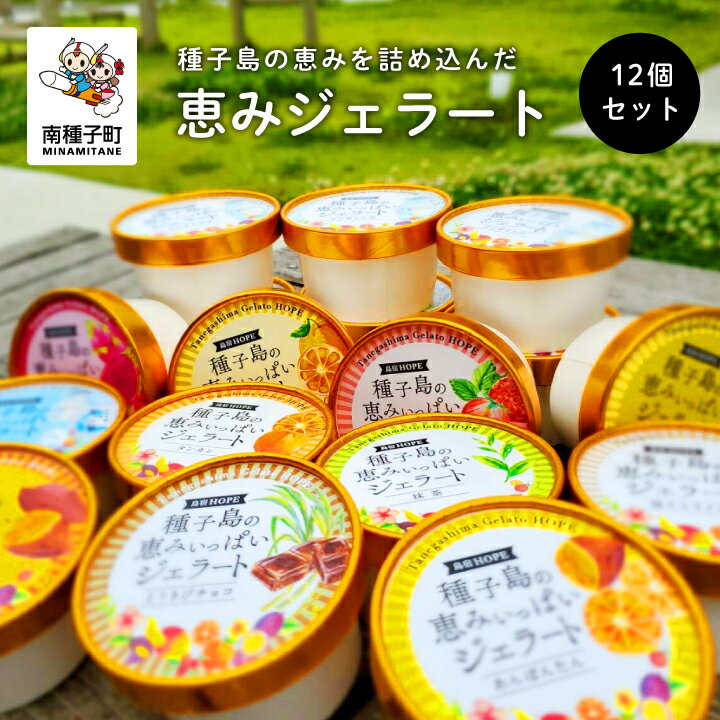 7位! 口コミ数「0件」評価「0」 恵みジェラート 12個セット ジェラート アイス スイーツ おやつ お菓子 母の日 ホワイトデー 食品 グルメ お取り寄せ おすそわけ 人･･･ 