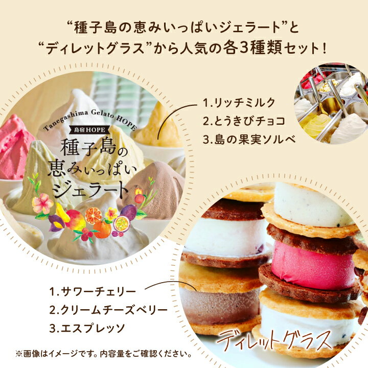 鹿児島県南種子町の画像2