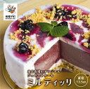 【ふるさと納税】 ミルティッリ ( ジェラートケーキ ) ジェラート ケーキ スイーツ おやつ お菓子 食品 グルメ お取り寄せ おすそわけ 人気 おすすめ ギ...