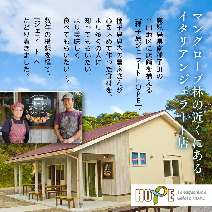 鹿児島県南種子町の画像3