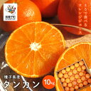 【ふるさと納税】 《 先行予約 》《 2026年2月中旬~3月中旬頃順次発送 》種子島産タンカン 約 10kg ( 約65玉 ) タンカン たんかん オレンジ ぽんかん 柑橘 果物 フルーツ グルメ お取り寄せ お正月 人気 返礼品 南種子町 鹿児島 かごしま 【南種子町果樹部会】
