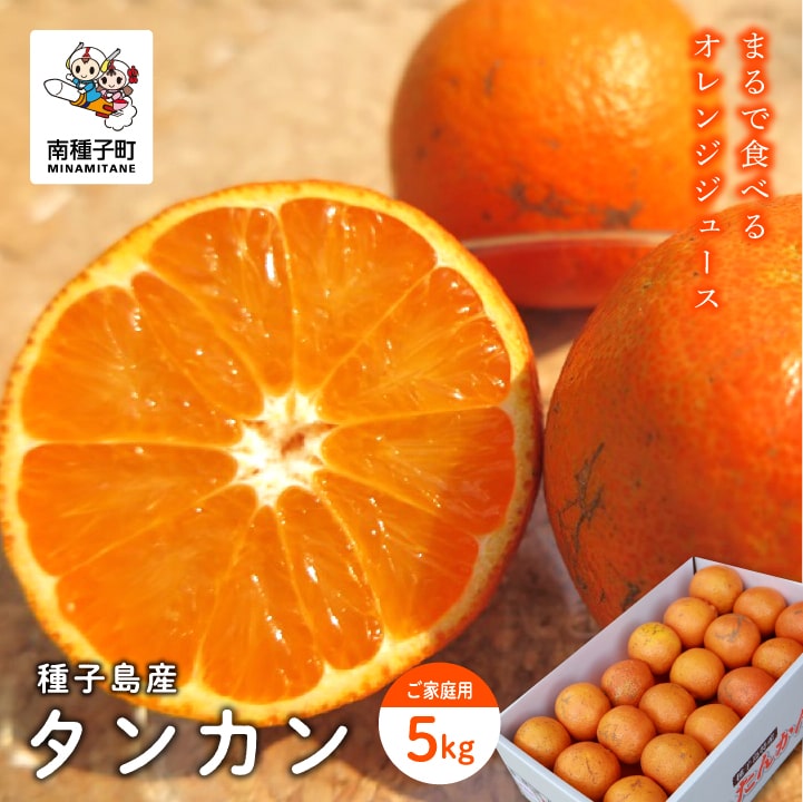 【ふるさと納税】 《 先行予約 》《 2025年 2月中旬 ～ 3月中旬頃 発送 》 種子島産タンカン 約 5kg 24玉 ～ 36玉 家庭用 タンカン たんかん オレンジ みかん 柑橘 果物 フルーツ グルメ お取…
