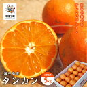  《 先行予約 》《 2025年 2月中旬 ～ 3月中旬頃 発送 》 種子島産タンカン 約 5kg ( 24玉 ～ 36玉 ) 家庭用 タンカン たんかん オレンジ みかん 柑橘 果物 フルーツ グルメ お取り寄せ お正月 人気 返礼品 南種子町 鹿児島 かごしま 