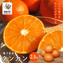  《 先行予約 》《 2025年 2月中旬 ～ 3月中旬頃 発送 》 種子島産 タンカン 約 2.5kg タンカン たんかん オレンジ 果物 フルーツ 食品 グルメ お取り寄せ お正月 人気 おすすめ ギフト 返礼品 南種子町 鹿児島 かごしま 