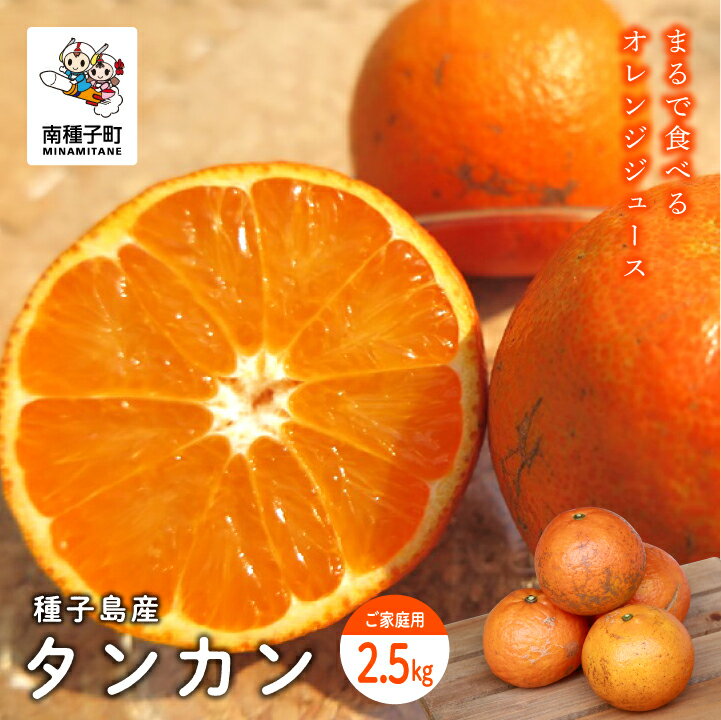  《 先行予約 》《 2025年 2月中旬 ～ 3月中旬頃 発送 》 種子島産タンカン 約 2.5kg 家庭用 タンカン たんかん オレンジ 果物 フルーツ 食品 グルメ お取り寄せ お正月 人気 おすすめ ギフト 返礼品 南種子町 鹿児島 かごしま 