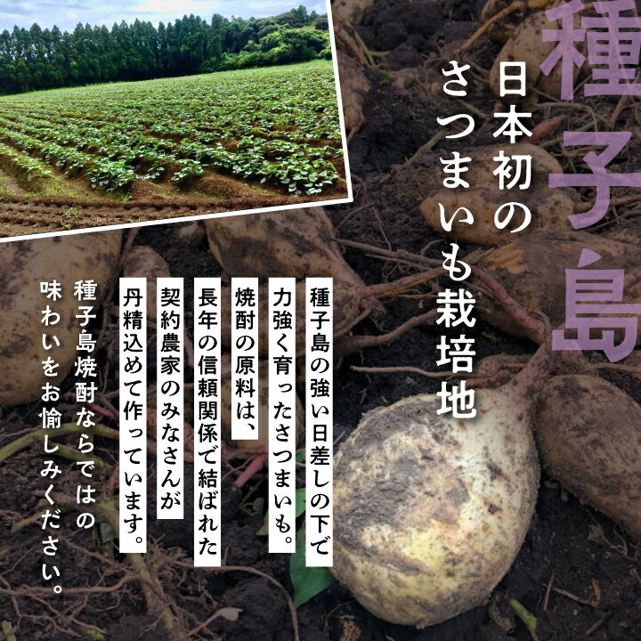 【ふるさと納税】 むらさき浪漫 25% 1800ml 3本セット 焼酎 芋焼酎 お酒 焼酎南泉 父の日 敬老の日 食品 グルメ お取り寄せ おすそわけ お正月 人気 おすすめ ギフト 返礼品 南種子町 鹿児島 かごしま 【上妻酒造株式会社】