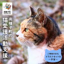 楽天鹿児島県南種子町【ふるさと納税】 猫愛護ボランティア作成 猫ちゃん イラスト セット B 猫と宇宙のファンタジー 猫 ねこ 動物 保護 愛護 保護活動 応援 支援 寄付 ギフト お中元 お歳暮 返礼品 南種子町 鹿児島 かごしま 送料無料 【南種子町猫の適正飼養を推進する会】