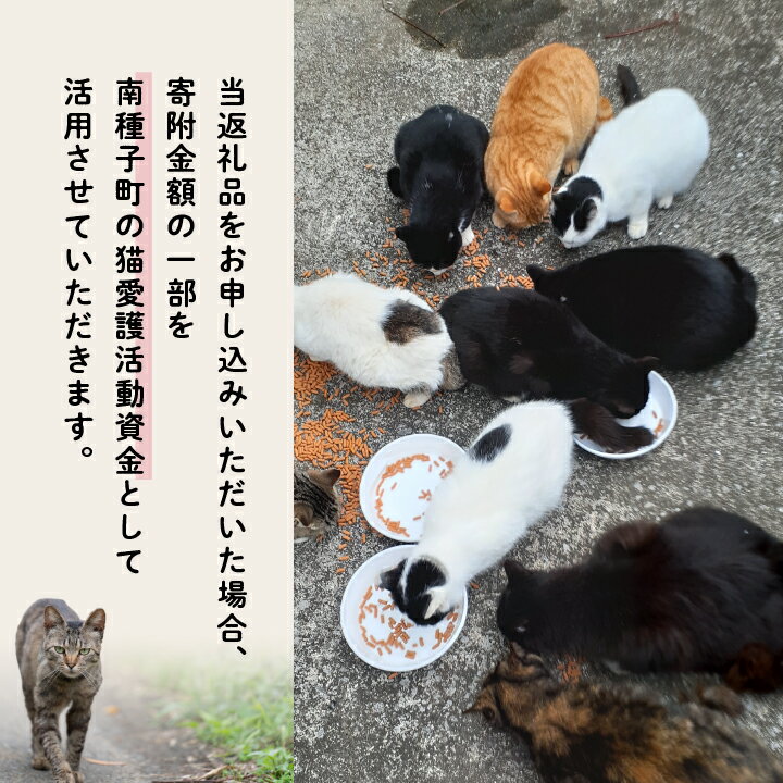 【ふるさと納税】 猫愛護ボランティア作成 猫ちゃん イラスト セット B 猫と宇宙のファンタジー 猫 ねこ 動物 保護 愛護 保護活動 応援 支援 寄付 ギフト お中元 お歳暮 返礼品 南種子町 鹿児島 かごしま 送料無料 【南種子町猫の適正飼養を推進する会】