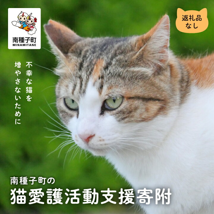 【ふるさと納税】 《返礼品なし》 猫愛護活動支援 猫ちゃん 猫 ねこ 動物 保護 愛護 保護活動 応援 支援 寄付 南種子町 鹿児島 かごしま 送料無料 【南種子町猫の適正飼養を推進する会】のサムネイル